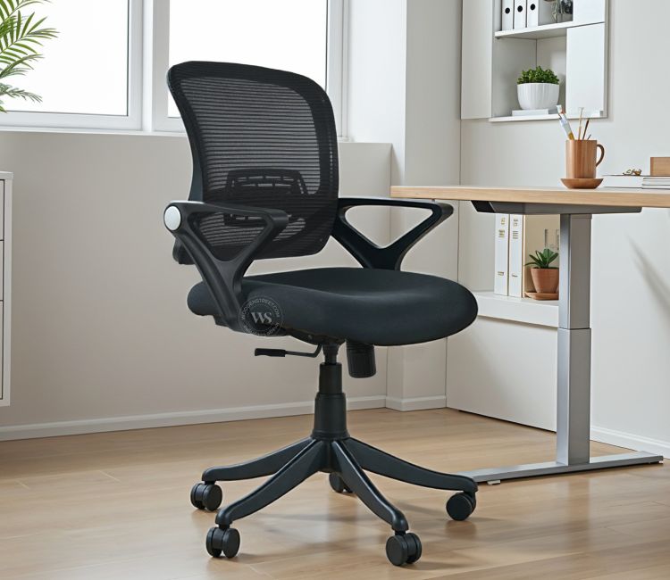 Aquila Mid Back Mesh Ergonomic Office Chair (Black)
