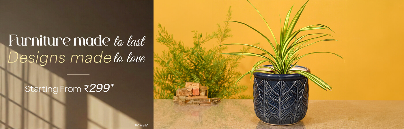 Plant Stand Plant Stand