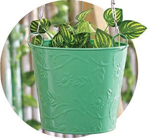 Hanging Planter